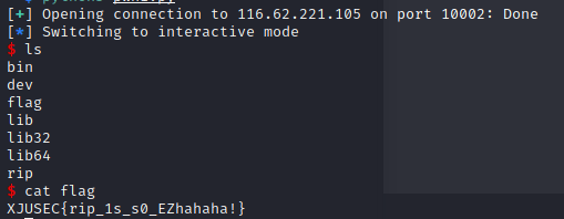 image-20211025221711345